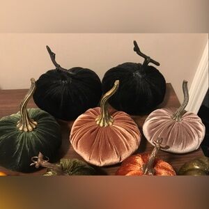 Variety velvet pumpkins